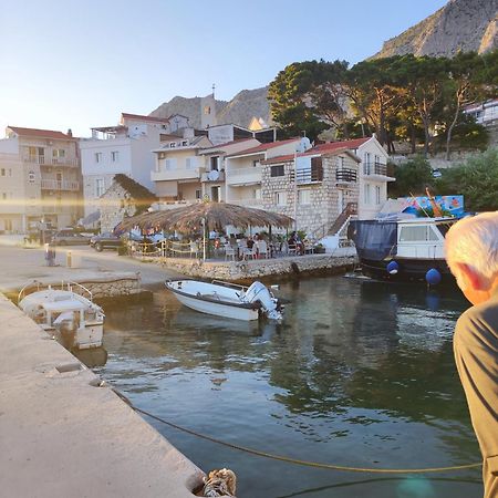 Amazing View Διαμέρισμα Drasnice Εξωτερικό φωτογραφία